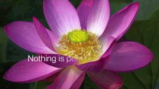 Words of Wisdom from the Heart of a Buddha [upl. by Htebazileharas494]