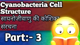 साइनाजीवाणु की कोशिका संरचना Cyanobacteria Cell Structure part  3 Class 11th Bio youtubevideo [upl. by Ronnholm]