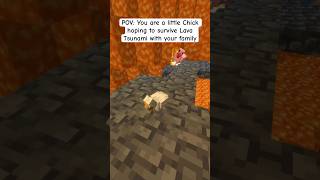 Little Chick hoping to survive Lava Tsunami in Minecraft minecraft [upl. by Hulburt]