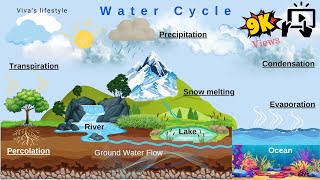 Water Cycle [upl. by Jeremias]