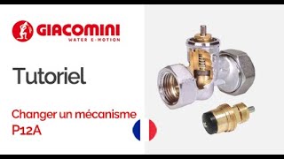 Changer le mécanisme intérieur dun robinet thermostatisable GIACOMINI [upl. by Arleta]