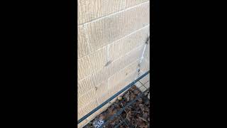 Cavity wall insulation devalues property [upl. by Alliehs690]