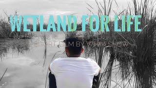 Wetland for life  a short film by whim show [upl. by Eidnam]