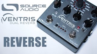 Source Audio  Ventris  Reverse Reverb  Indepth Ambient Demo [upl. by Jocelin]