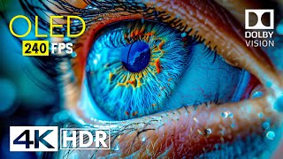 Mind Blowing OLED Dolby Vision  4K HDR 240 fps [upl. by Jermayne]