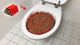 1000 Firecrackers vs Toilet [upl. by Jeromy]