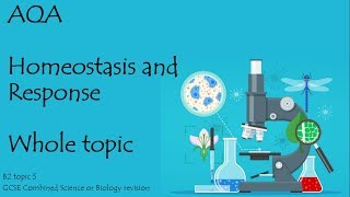 The whole of AQA HOMEOSTASIS and RESPONSE 91 GCSE biology or combined science revision for paper 2 [upl. by Josh]