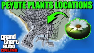 Peyote Plants Locations Map 2023  Where To Find The Peyote Plants  GTA 5 Online [upl. by Valry]