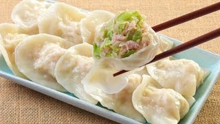 Chinese Dumpling Guide 11 MUST TRY Dumplings [upl. by Araldo]