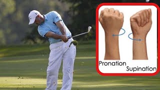 PRONATION AND SUPINATION EXPLAINED [upl. by Yregerg]