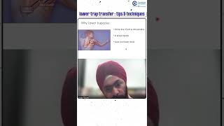 Lower Trap Transfer Tips amp Techniques by Dr Harpreet Singh  Conceptual Orthopedics [upl. by Emanuele213]