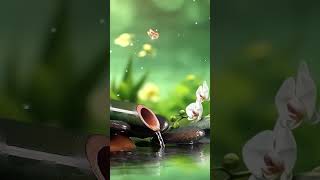 Calming Sleep Music and Sound of Water Insomnia Healing Relaxing Music Bamboo Water Fountain [upl. by Enitsud649]