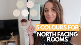 5 of The Best Dulux Paint Colours For North Facing Rooms [upl. by Sotsirhc]