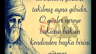 Mevlana Sözleri 🌹 Dinleyin İlaç Gibi Gelecek 🌹 Suskunluğum asaletimdendir mevlana [upl. by Shien830]