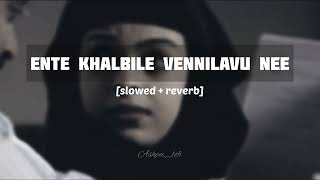 Ente khalbile vennilavu nee slowed  reverb  classmates [upl. by Aiekahs34]