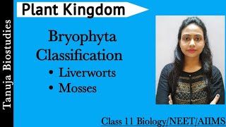 Plant Kingdom  Classification of Bryophyta  Liverworts  Mosses  Class 11 BiologyNEETAIIMS [upl. by Ursulina]