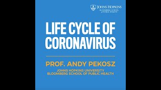 Life Cycle of the Coronavirus [upl. by Marucci]