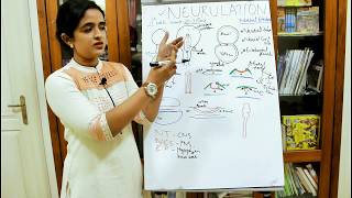 NEUROANATOMYDEVELOPMENT OF THE NERVOUS SYSTEMPART1NEURULATIONDR ROSE JOSE MD [upl. by Shriner]