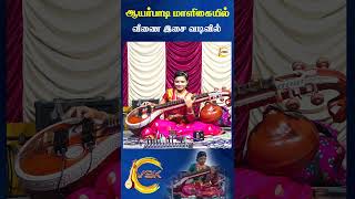 Ayarpadi Maaligayil Veena Cover  Krishna Songs Tamil Devotional  Veenai saindavikarunakaran [upl. by Solita]