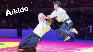 Amazing Aikido is demonstrated at the KUDO tournament by Shirakawa Ryuji [upl. by Henson]