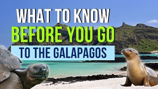 15 Things You Should Know Before You Go to the Galapagos Islands [upl. by Eilraep]