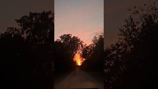 Perfect Sunset on a Dirt Road  SunsetInMichigan PerfectView DirtRoad BackRoads CarRide Sunset [upl. by Ahsuat236]