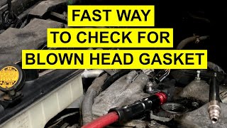 Fast Way To Check If Your Head Gasket Is Bad  Failed  Blown [upl. by Nahtnahoj]