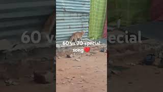 60 vs 70 love special song❤️cat love ytshorts trending viralshort sahil sahir shorts ❤️🎼 [upl. by Eey]