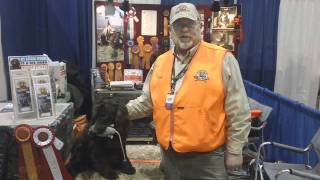 HuntEmUpcom  The Boykin Spaniel from Pheasant Fest [upl. by Archambault]