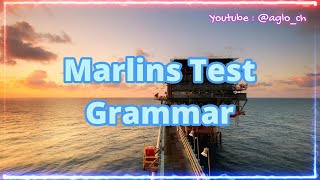 Marlins Test For Seafarer  Grammar  Tenses [upl. by Suhpesoj]