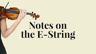 Notes on the EString violin [upl. by Castera]