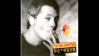 שלמה ארצי  מלך העולם [upl. by Mansoor]