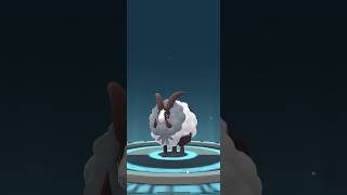 Pokemon GO Evolving 100 Wooloo into 100 Dubwool pokemongo pokemon 100pokemon evolution [upl. by Neona]