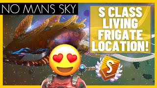 How To Find The Best S Class Living Frigate  No Mans Sky Endurance Update 2022 [upl. by Datha4]