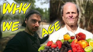 Why Fruitarians Age So Quickly The Glycation Effect [upl. by Oram]