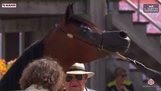 N 52 FARIDA MUDHAR GCAT Valkenswaard 2024 Junior Fillies Section A Class 2A [upl. by Maroney]