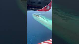 🌴 Ultimate Maldives Islands Tour  Discover Paradise 🌊✨ travel maldivian beach maldivesisland [upl. by Aniral]