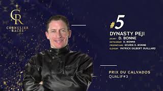 PRIX DU CALVADOS  CORNULIER RACES Q3  Les Partants [upl. by Pohsib]