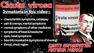 Cicuta virosa  सिकुटा विरोसा  homeopathicmedicine kentmateriamedica bhms homeopathy होम्योपैथ [upl. by Saihttam160]