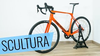 Das MERIDA SCULTURA ENDURANCE 6000 im Review  Fahrradorg [upl. by Weinman]