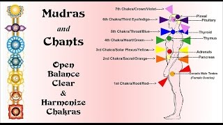 Chakra Meditation with Mudras amp Chants [upl. by Ativoj]