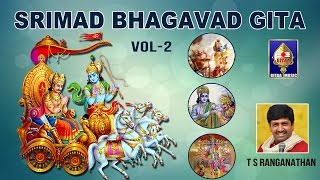 Chapter 11  Vishwaroopa Darsana Yogam  Srimad Bhagavad Gita  By T S Ranganathan [upl. by Selden]