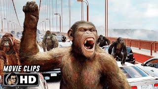 Apes vs Humans  Bridge Battle  Rise of the Planet of the Apes 2011 Movie Clip HD [upl. by Etyak]