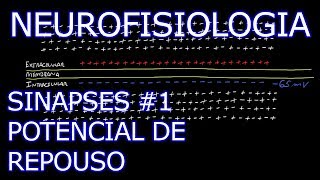 Aula Neurofisiologia  Sinapses 1  Potencial de Repouso  Neurofisiologia Humana [upl. by Milly]