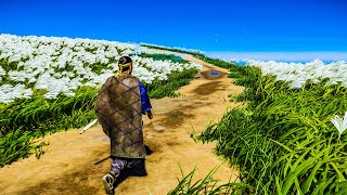 Walking in Japan in 1274 4k Tsushima Island [upl. by Ttam157]