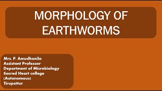 MORPHOLOGYMORPHOLOGY OF EARTHWORMVERMITECHNOLOGYEARTHWORM [upl. by Haya]