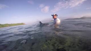 roosterfish fishing trip in Junquillal guanacaste Costa Rica [upl. by Asirem]