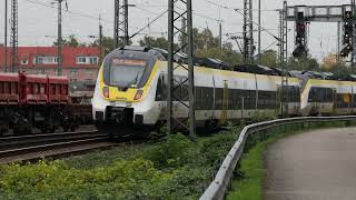 Doppelter Hamster Talent BR 442 als MEX12 vor Güterbahnhof Heilbronn auf der Frankenbahn [upl. by Grannie]