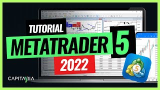 METATRADER 5 ✅ APRENDE LO BÁSICO para COMENZAR 📚 [upl. by Ssor]