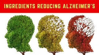 🔋 3 Clinically Proven Ingredients Which Can Help Reduce Dementia Alzheimer’s amp Parkinson’s [upl. by Enhpad638]